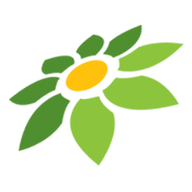 SYMBOL INSTAGRAM LOGO